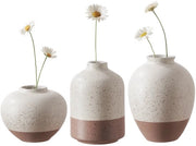 Set di vasi decorativi in ceramica di 3 pezzi, stile moderno e boho, vaso per fiori con pampas, decorazione neutrale per la camera da letto scandinava