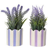 LAVANDA D.7XH18CM CON VASO IN PORCELLANA A RIGHE