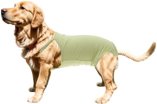 Luigine per Cani - Disegno Adattabile - Cinture Estensibili - Progetto Assorbente - Materiale Cotone - Riciclabile - Comodo per Animali Domestici - Pantaloni per Cani