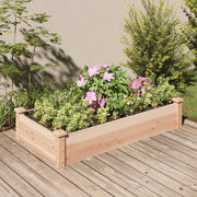 Fioriera Rialzata da Giardino Fodera 120x60x25cm Massello Abete 364289