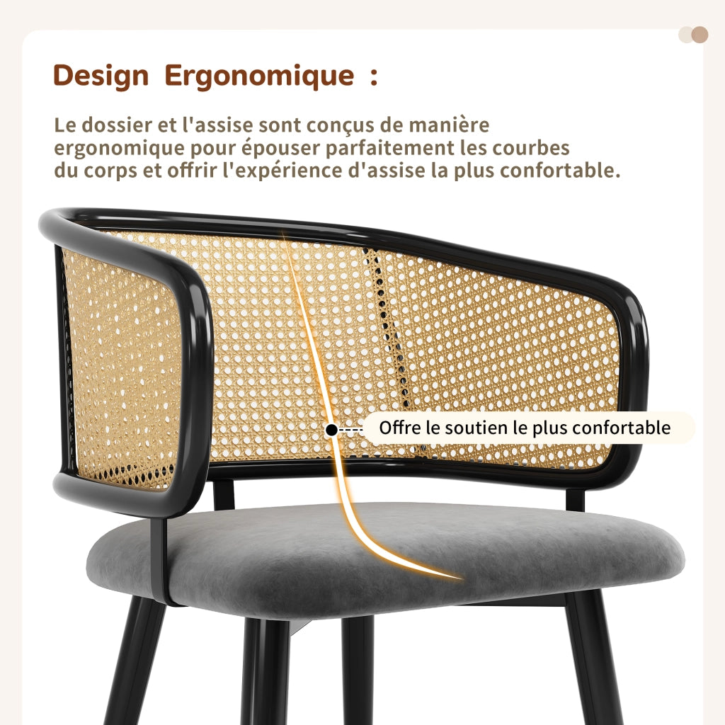 SEDIA da pranzo con schienale in rattan 47 x 47 x 79 cm grigio in velluto