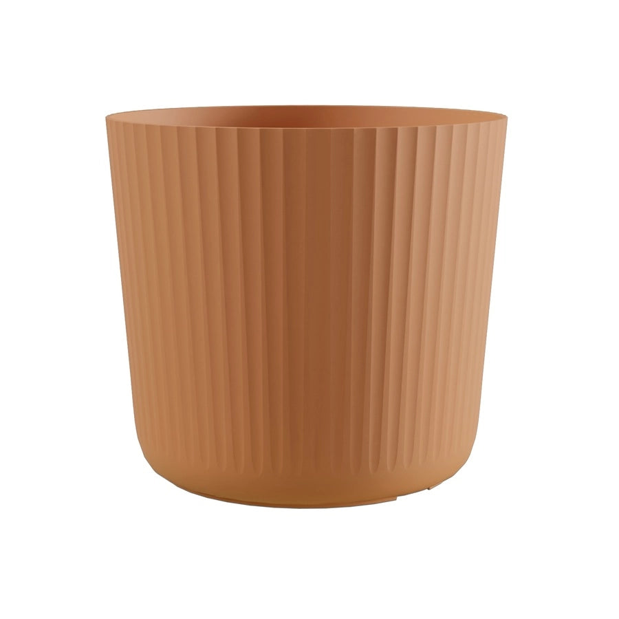 Vaso Nova MOROCCO-Cheonda Taglia: 31