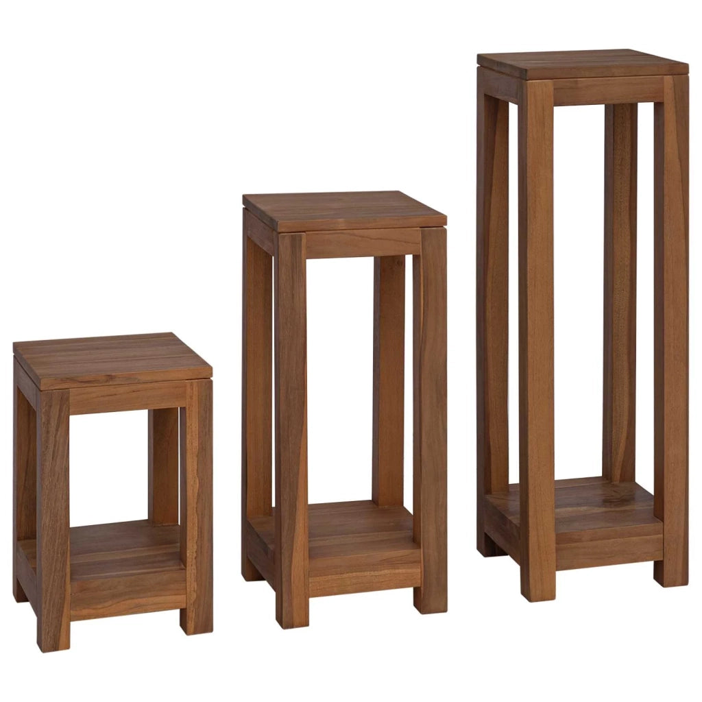 Supporto per piante 3 pz Naturale 25 x 25 x 80 cm 42026905