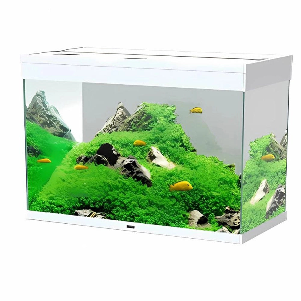 Ciano Emotions Nature Pro 80 LED Senza Supporto Colore: Bianco