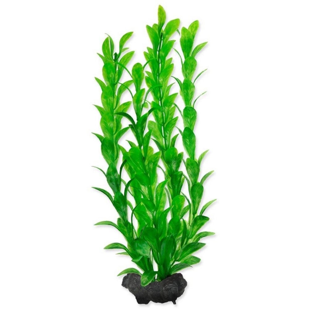 Tetra Pianta Decorativa in Plastica Modello Hygrophila varie misure Modello: M