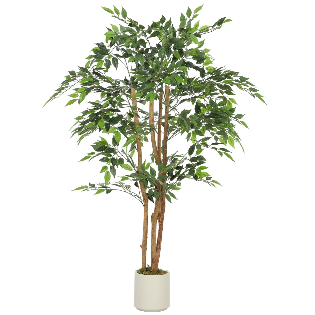 Albero di Banyan artificiale ¨C Xylo ¨C pianta decorativa con tronco in legno massello e vaso 65x65x150 cm verde