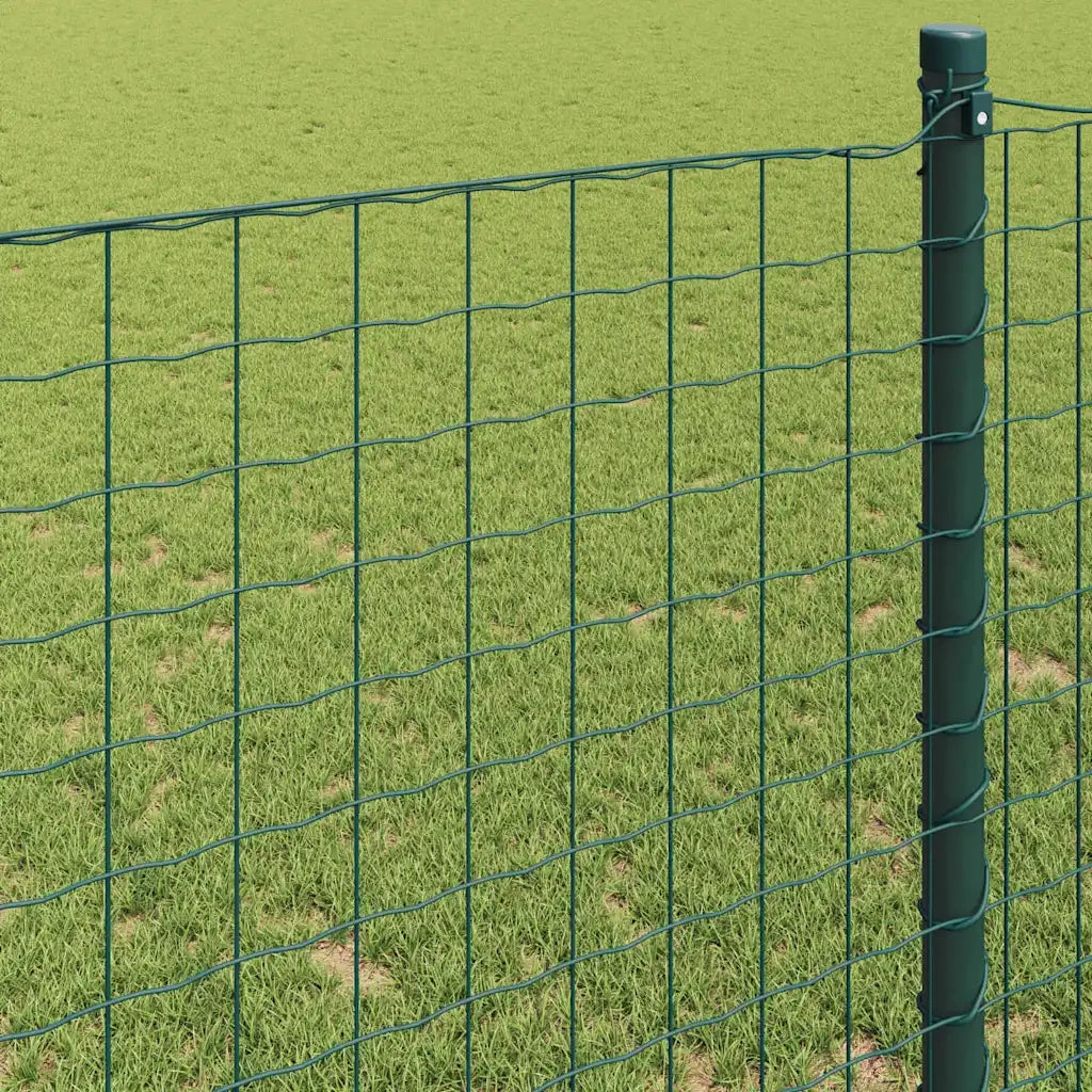 Recinzione Euro Verde 1 x 10 m Ferro rivestito in PVC 42004333