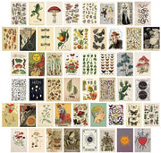 Set di cartoline da 50 pezzi - Cartoline motivazionali - Paesaggi - Momenti della vita - Stile vintage - Cartoline da 2 facce in scatola - Cartoline augurali