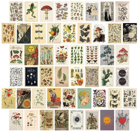 Set di cartoline da 50 pezzi - Cartoline motivazionali - Paesaggi - Momenti della vita - Stile vintage - Cartoline da 2 facce in scatola - Cartoline augurali