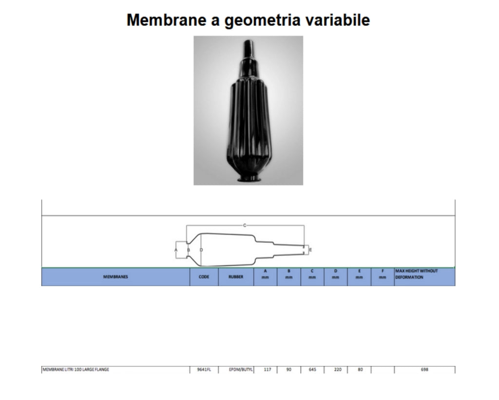 MEMBRANA PER SFERA AUTOCLAVE- per 100 lt- DH- pezzi 1
