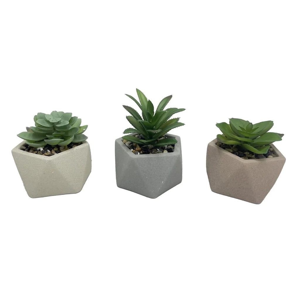 Trade Shop - Set 6pz Pianta Verde Grassa Finta Con Vaso Ceramica Geometrico 10x10xh13cm 3 Colori 157947 -