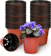 100 pezzi di contenitore per semi in plastica per piantine di 10 cm per piante grassocce, piante da vaso, semi, innesto.