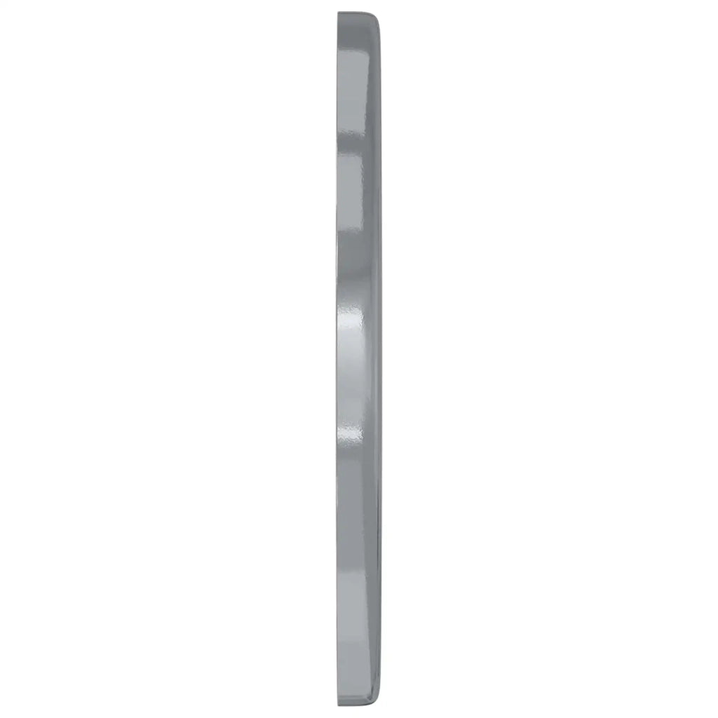 Rondelle 12 pz Argento 12 x 12 x 1,2 cm Ferro CFW2249622