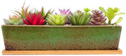 Pianta di piante in ceramica - vaso di fiori moderno per interni/esterni - 30 cm - verde