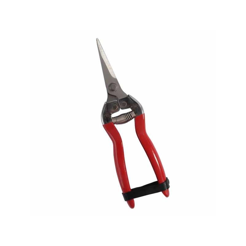 Forbice Cogliuva 190 Inox Punta Ilcampo 09173