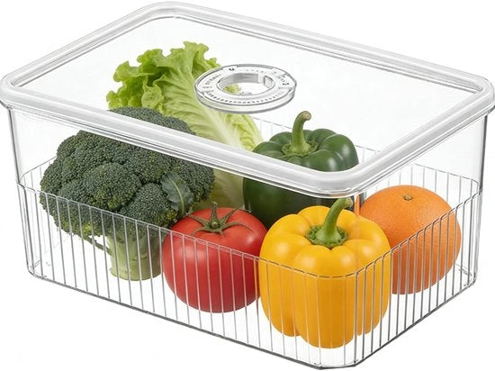 Contenitore di magazzino per alimenti con coperchio sigillato - Cassa di archiviazione - Organizzatore del frigorifero - Plastica - Grande capacità - 24,5 x 16,2 x 11,5 cm