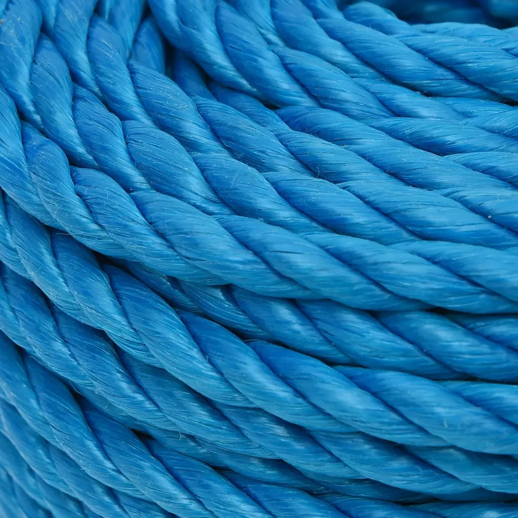 Corda da Lavoro Blu 12 mm 25 m in Polipropilene 152977
