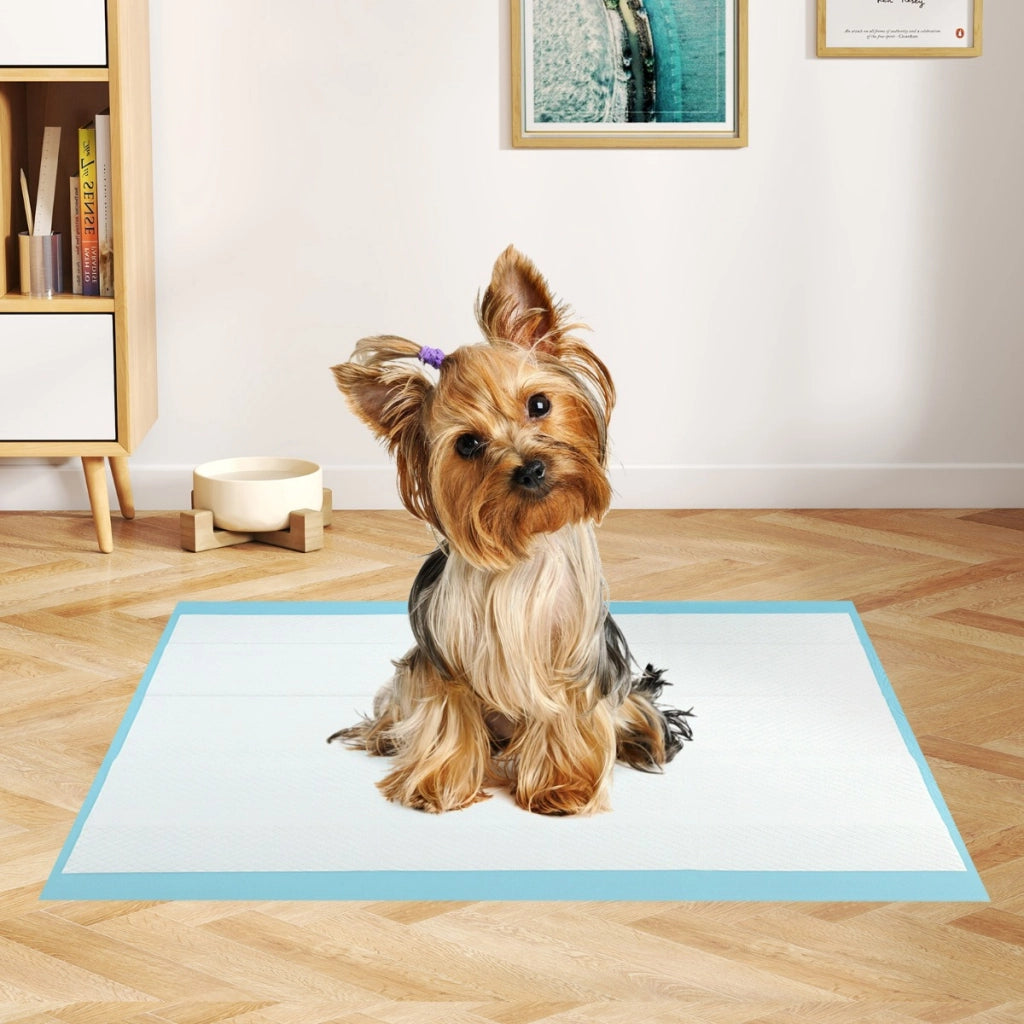 Tappetini per animali domestici a 6 strati a prova di perdite-Asciugatura rapida tappetini da interno ed esterno 60 x 43 cm Blu