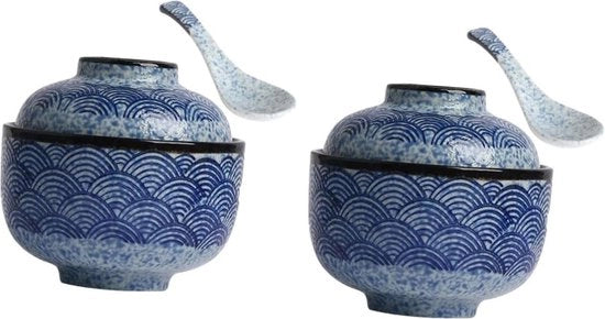 2 set pentole in ceramica - pentola a cotto e pentola a vapore con coperchio giapponese