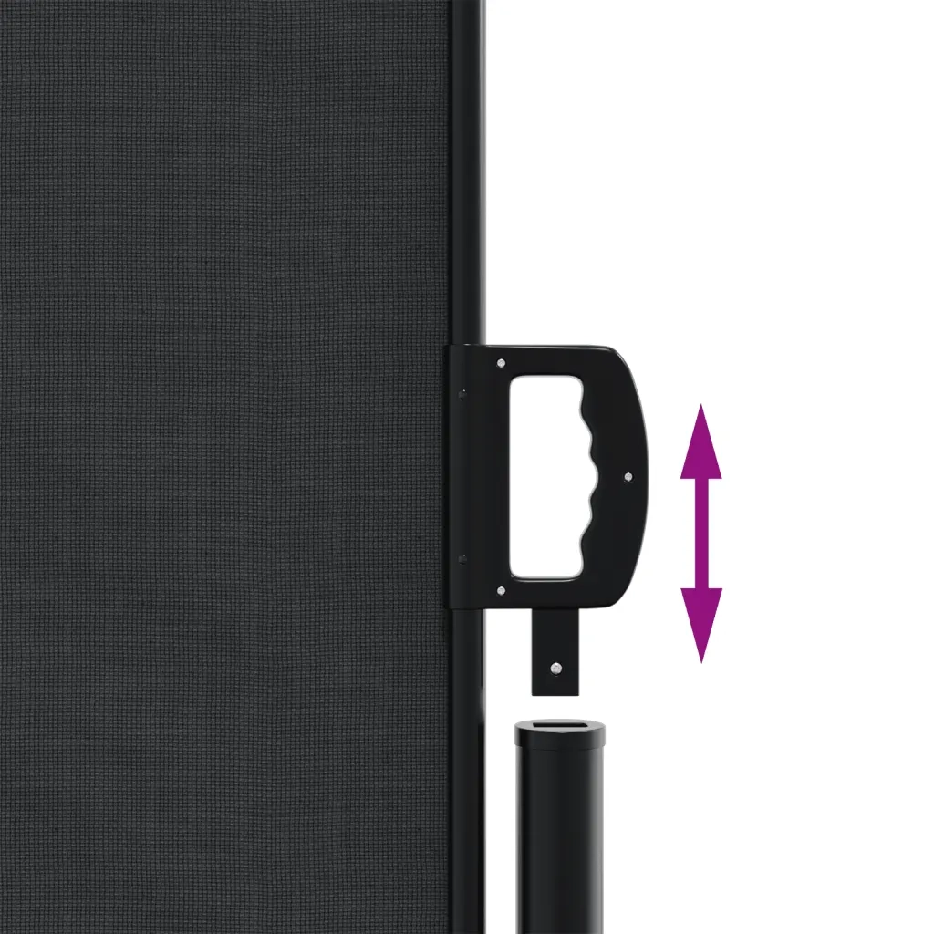 Tenda da Sole Laterale Retrattile Nera 220x600 cm 4004669