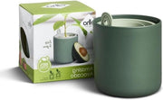 Piantina per Interno - 100% Plastico Riciclato - Ø 12.0 x H 12.1 cm - Foglia Verde