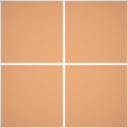 Pittura Super Lavabile Acril Silossanico R-180 Antialga Esterno - Rivestimenti Esterni B655 - Litri 4