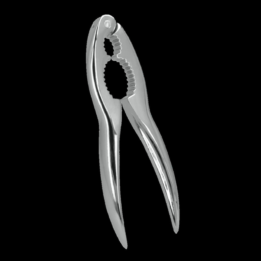 Schiaccianoci Cromato Krokki Set 5 Pezzi - Metaltex