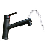 RUBINETTO DA BAGNO DOCCETTA MISCELATORE ESTRAIBILE LAVELLO NERO FONTANELLA 1803