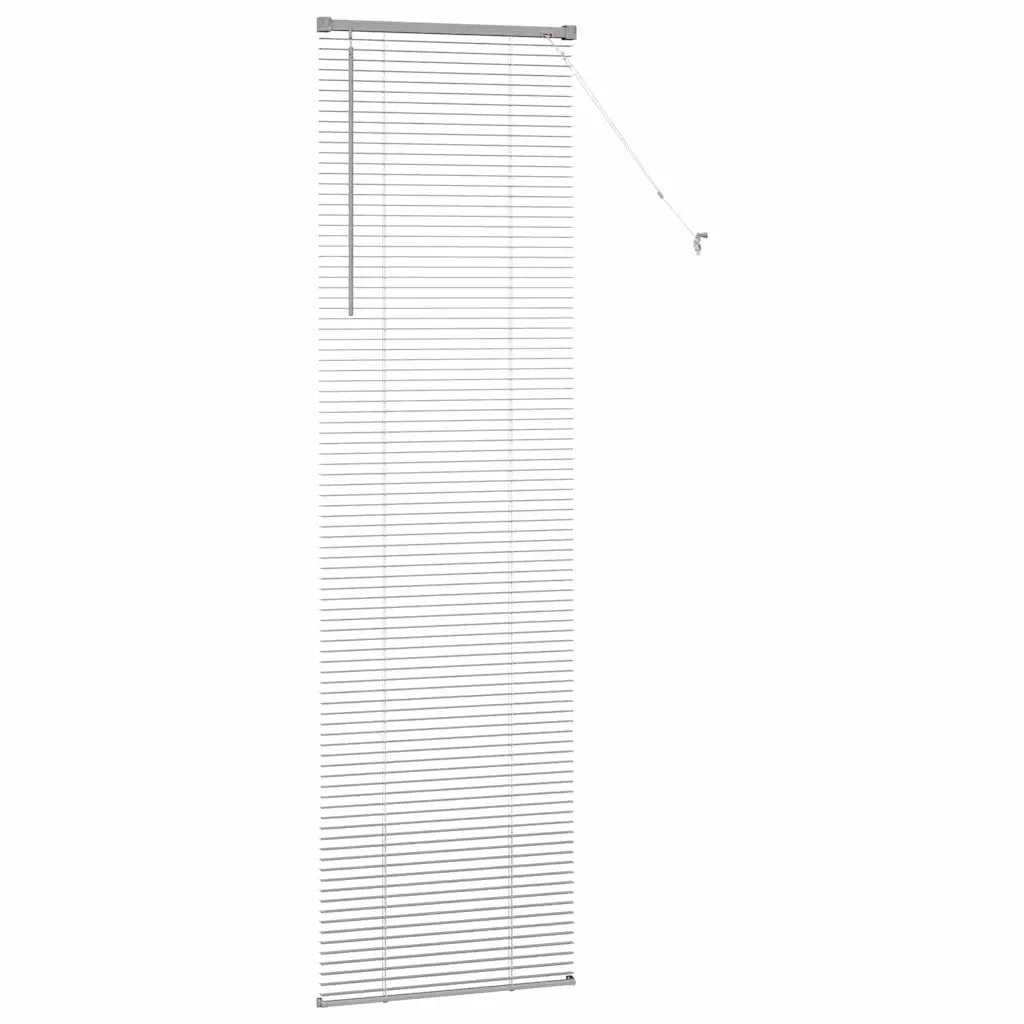 Tendaggi a Veneziana | Tenda a lamelle Argento 220 x 65 cm Alluminio