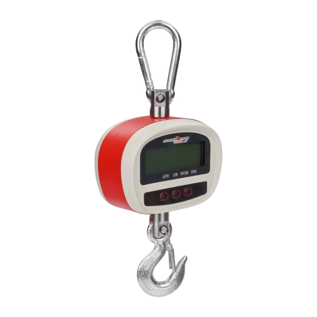 Pesatrice industriale a gancio professionale 300kg/50g - LED 3414121