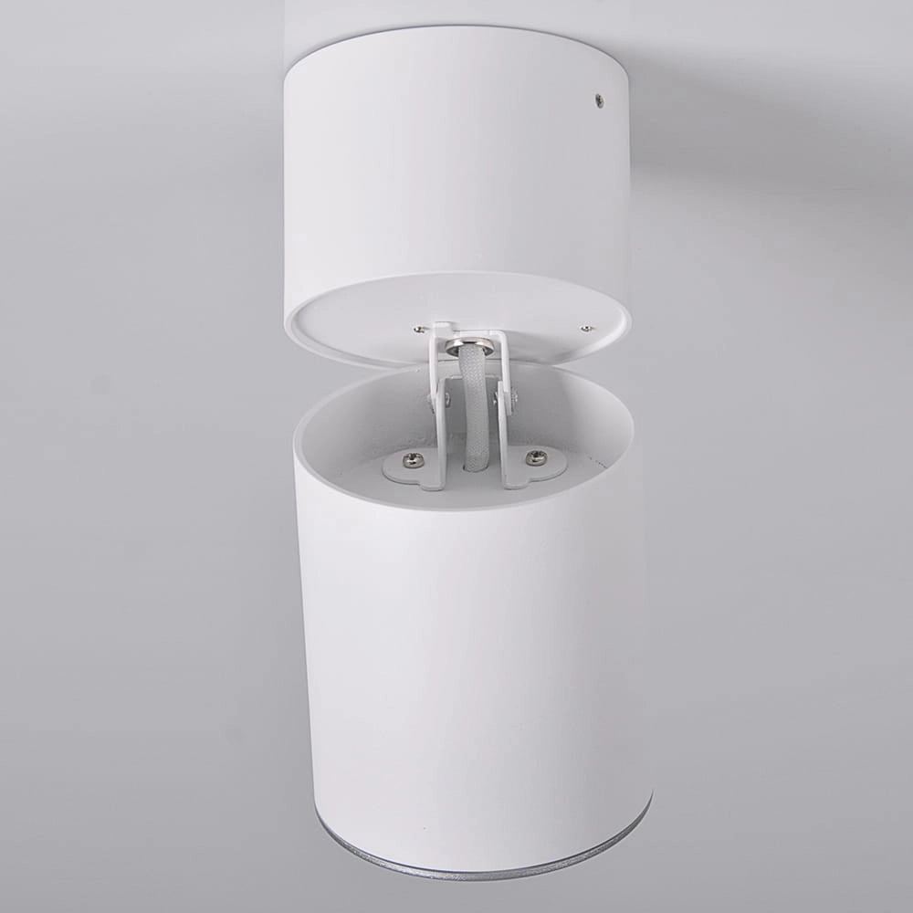 Spot da superficie orientabile GU10 bianco/argento Astra Polux