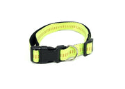 Comodo E Resistente Collare Per Cani Regolabile Modello Color Doggy - S - Verde