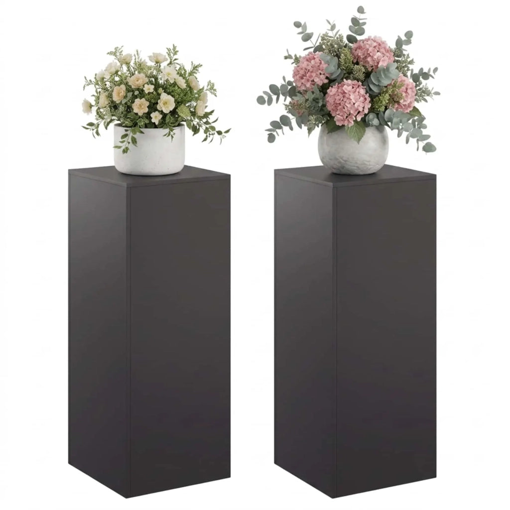 Supporto per piante 2 pcs Nero 40 x 40 x 100 cm Acciaio 8012559