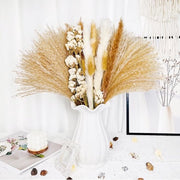 Pampas Gras Seco Naturale Boccioli Secchi per Decoupage DIY Boccioli Secchi Bocciolo di Rizoma Deco Ideale per Ambiente Bohemien (70pz)