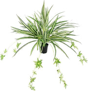 Pianta artificiale verde con fiori di loto - Chlorophytum - pianta spinosa - pianta da appendere in plastica