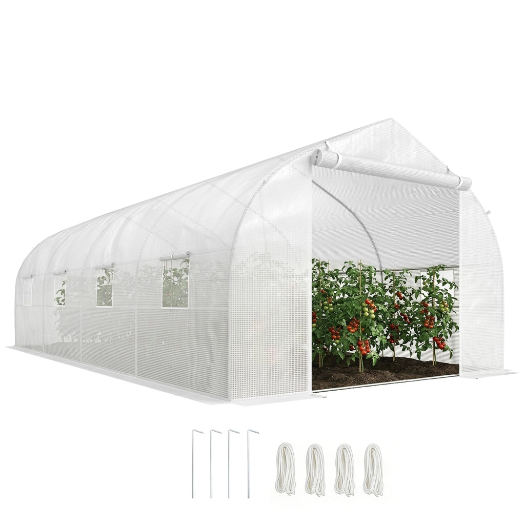 Serra da Giardino 6x3x2m ¨C Xylo ¨C Bianco per Coltivazione Piante Esterno