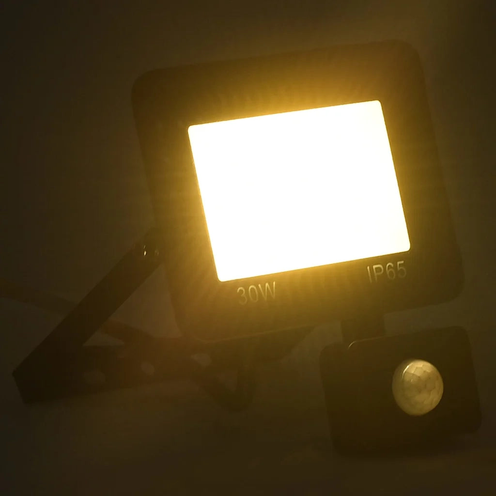 Faretto a LED con Sensore 30 W Bianco Caldo CFW7862658