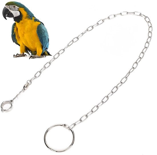 Catena per Pollici Durable Acciaio Inossidabile - Cinghia per Pappagallo - Chiusura Rotante - Anello di Sostegno Rafforzato - Addestramento degli Uccelli - Progetto di Sicurezza - Catena per Zampe di Uccello