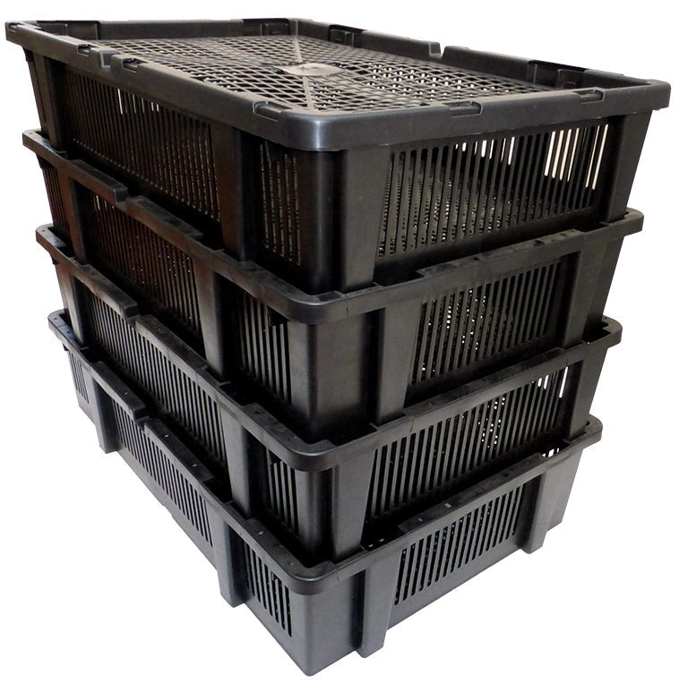 Incubatrice per Uova MG320S Maxi Pro