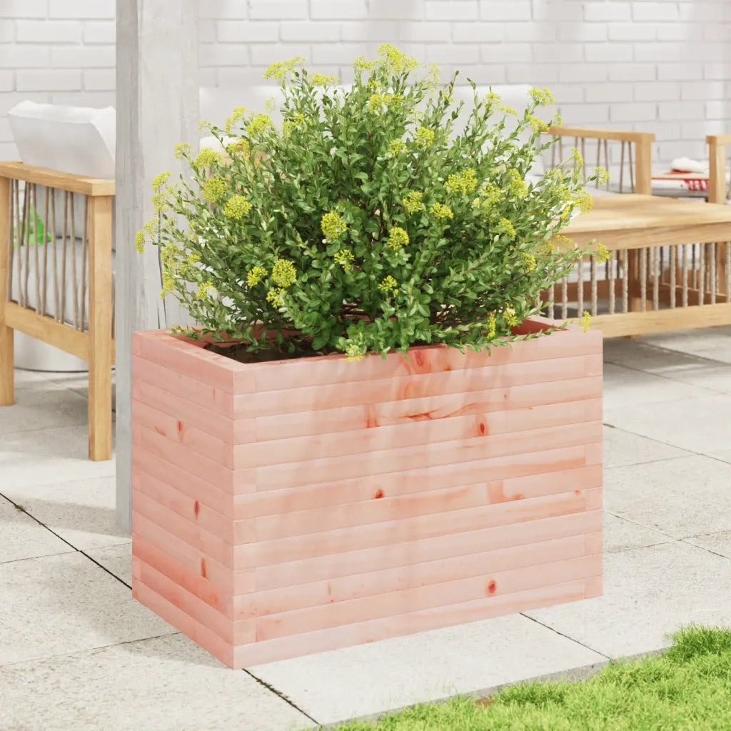 Fioriera da Giardino-Vaso da Esterno 70x40x45,5 cm in Legno Massello di Douglas