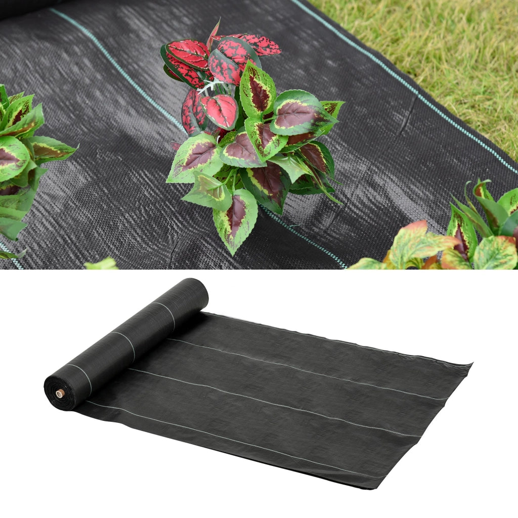 Telo Pacciamatura 100g/m2 ¨C Zephmum ¨C Nero 2x50m Quadrettato per Orto Giardino