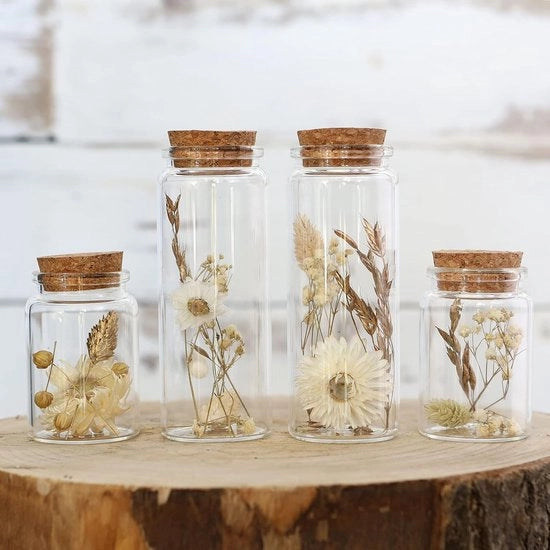 Set di 4 decorazioni floreali in vetro sottile con cappuccio - Fiori naturali essiccati