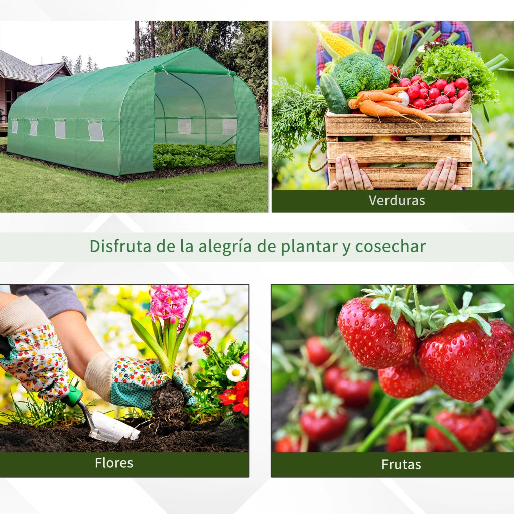 Serra da giardino 6x3x2 m ¨C Xylo ¨C Verde per coltivazione piante