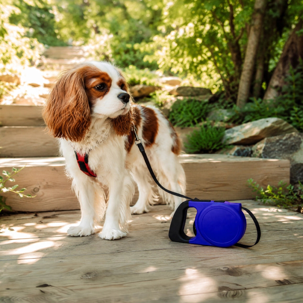 Set 3 Guinzagli Estensibili per Cani con Sistema Retrattile e Pulsante di Blocco – Disponibile da 5 m fino a 20 kg o da 8 m fino a 30 kg  Blu - 5Metri-20Kg