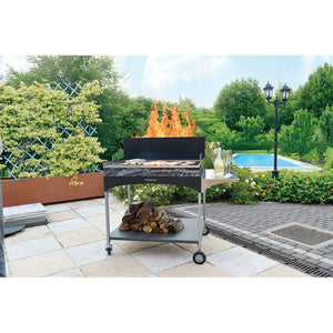 Barbecue a Legna con Griglia in Acciaio Famur BK 10 Elite