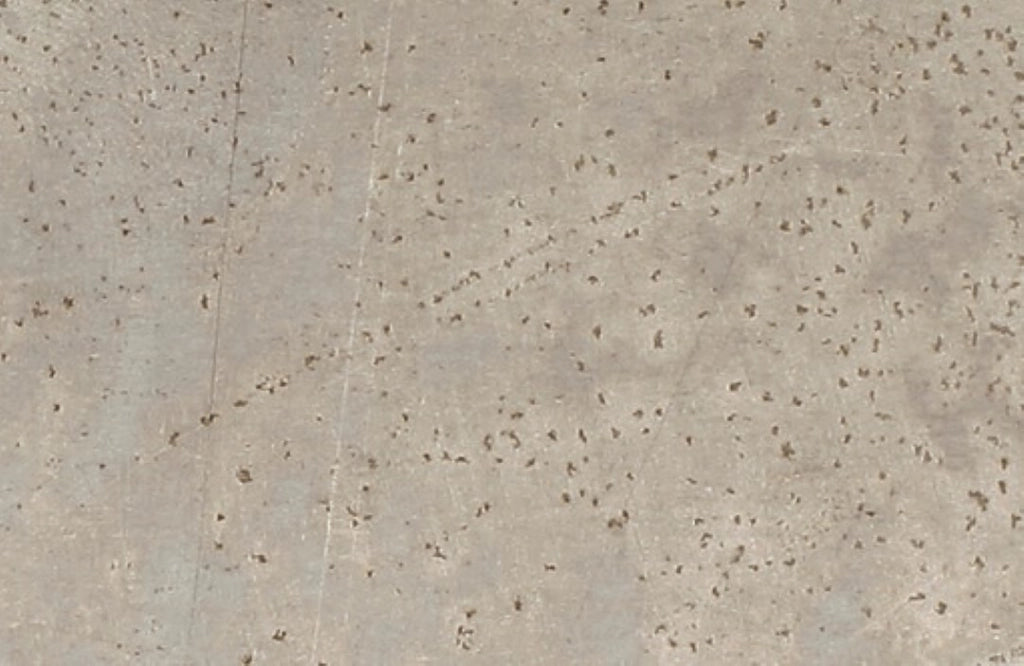 Lamiera In Alluminio Liscio Naturale 500X200 Mm 0,5 - Arcansas