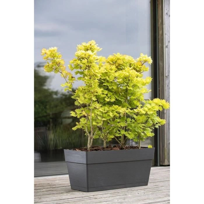 Giardiniera - DEROMA - Muret Save R - 75L - 79cm - Grigio scuro