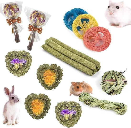 16 pezzi di naturale Timothy Hooi per giocattoli per coniglio - Migliora la salute dentale per coniglio/Chinchilla/Cavia/hamsters/Holland Hangoor - Trattamenti per Cavia