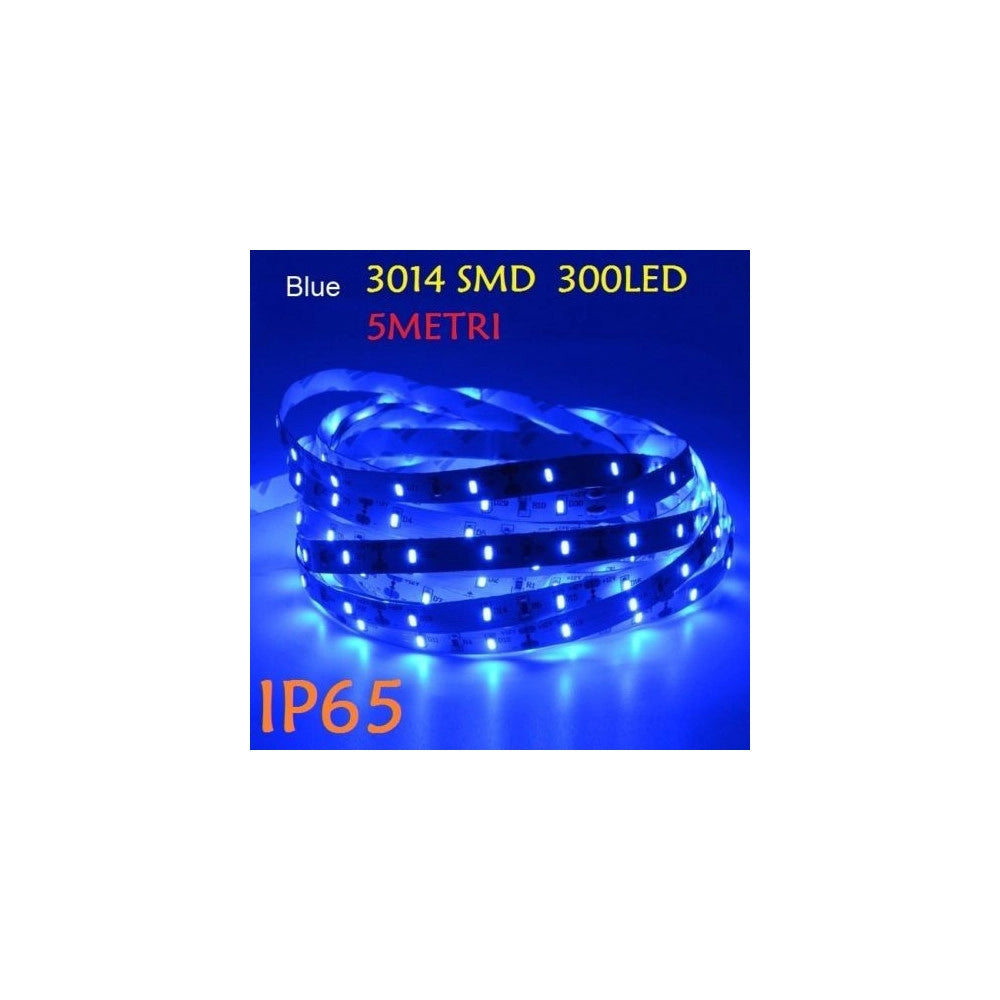 Trade Shop - 5 Metri Strip Striscia 300 Led 3014 Smd Per Esterno Ip65 12 V Dc Caldo Freddo -