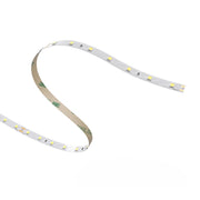 Striscia a led da 12W/MT 24V 1699 lm/mt 6000K - Bobina da 5 metri IP20